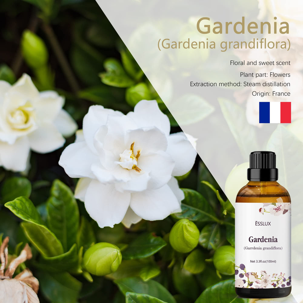 Close-up of Gardenia jasminoides flowers used for essential oil