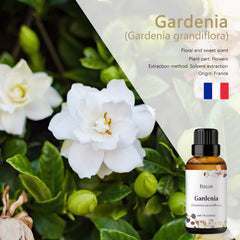 Close-up of Gardenia essential oil bottle with dropper