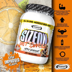 SizeOn Mango Splash ingredients chart