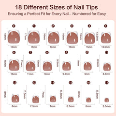 GELLAKTIK 18 sizes for a precise toe fit