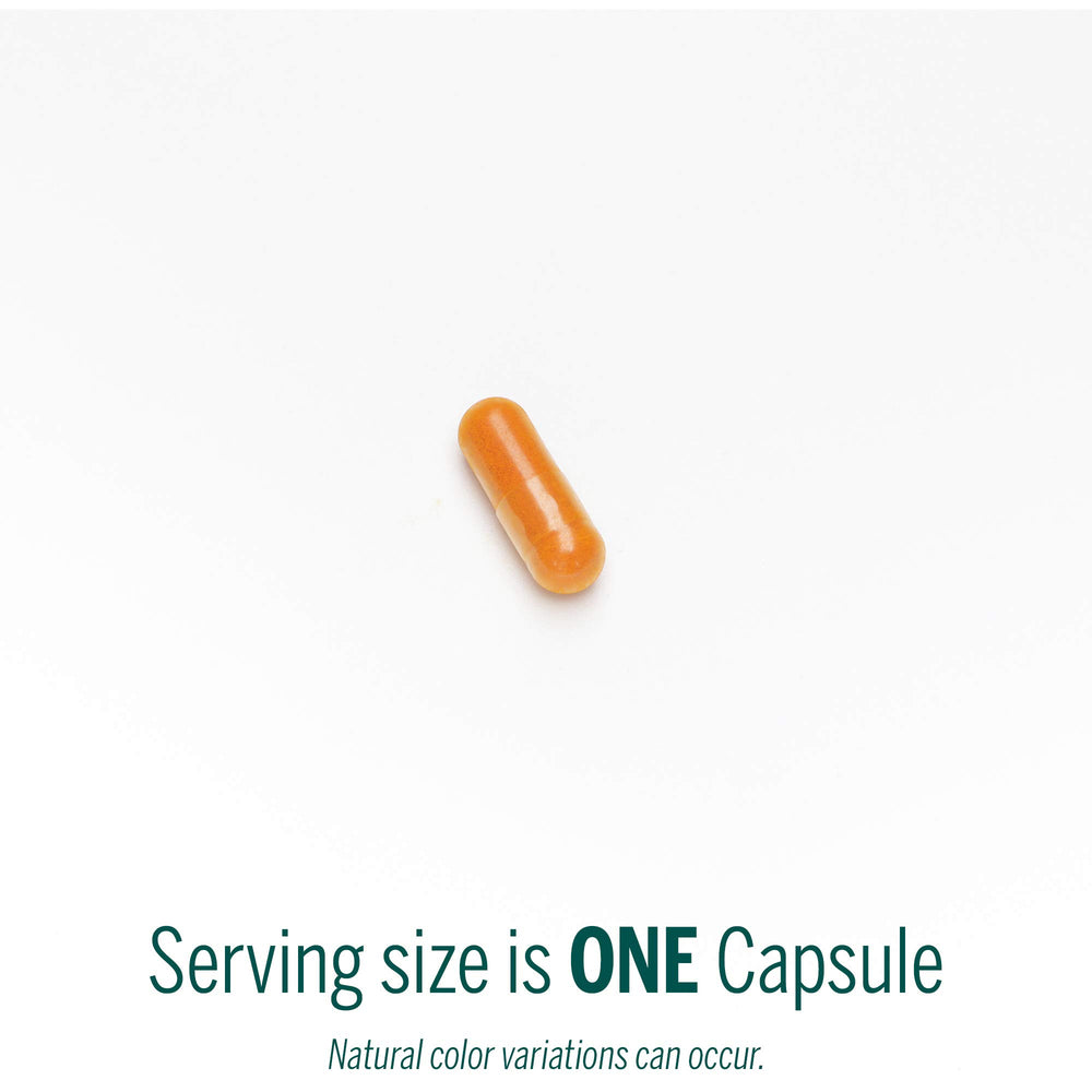 Macular Support capsules arranged on white background
