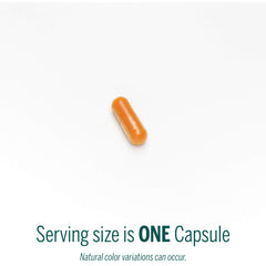 Macular Support capsules arranged on white background