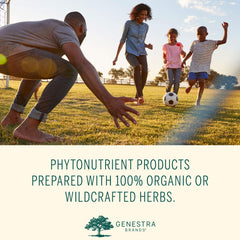Nutrient components of spirulina and chlorella in the blend