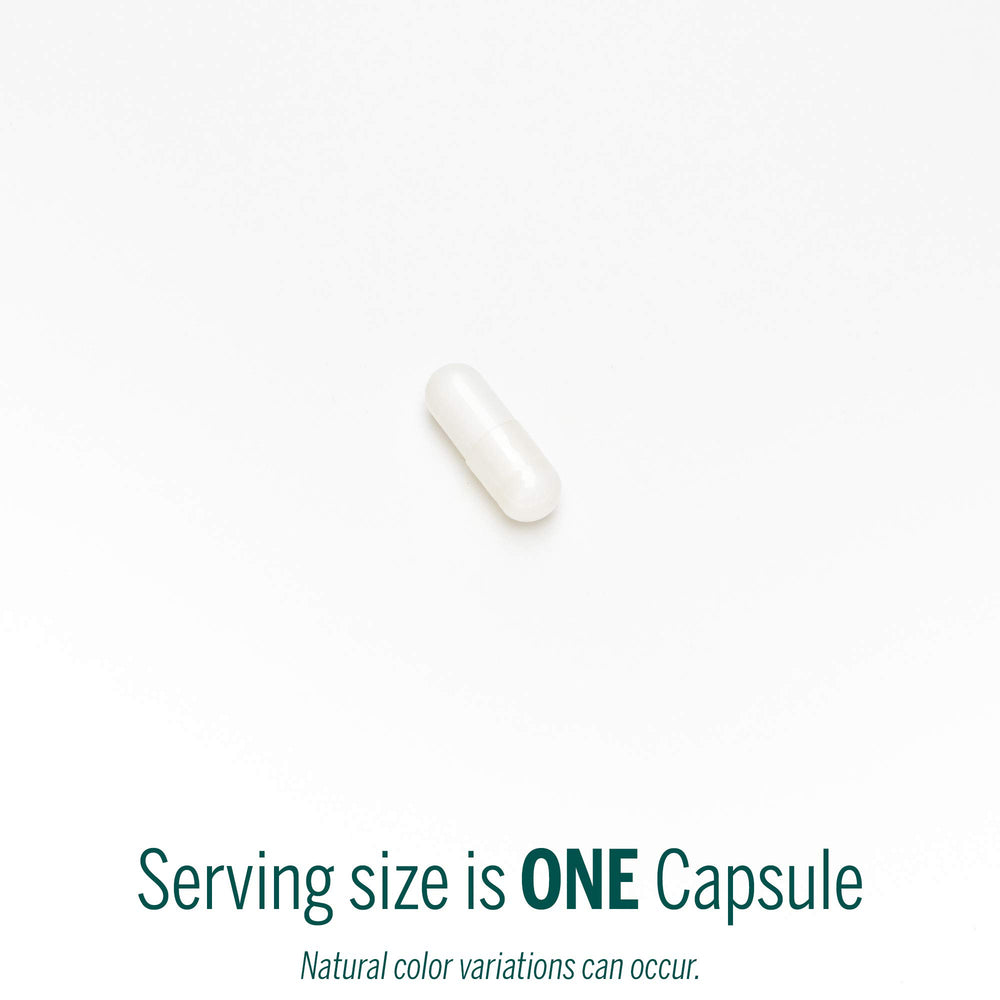 Supplement facts panel for Genestra Zinc Picolinate Formula