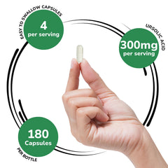 Genex Ursolic Acid 300mg bottle side shot
