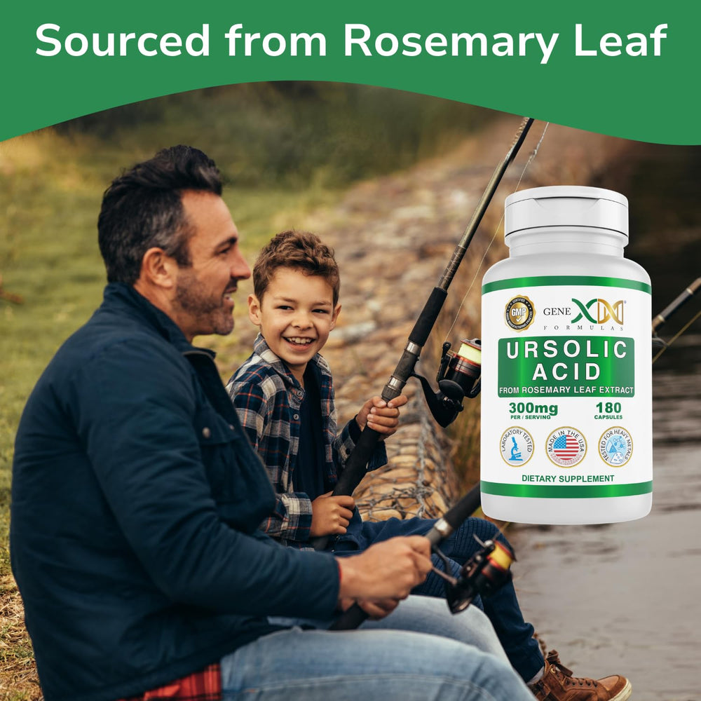 Ursolic Acid derived from rosemary leaf extract