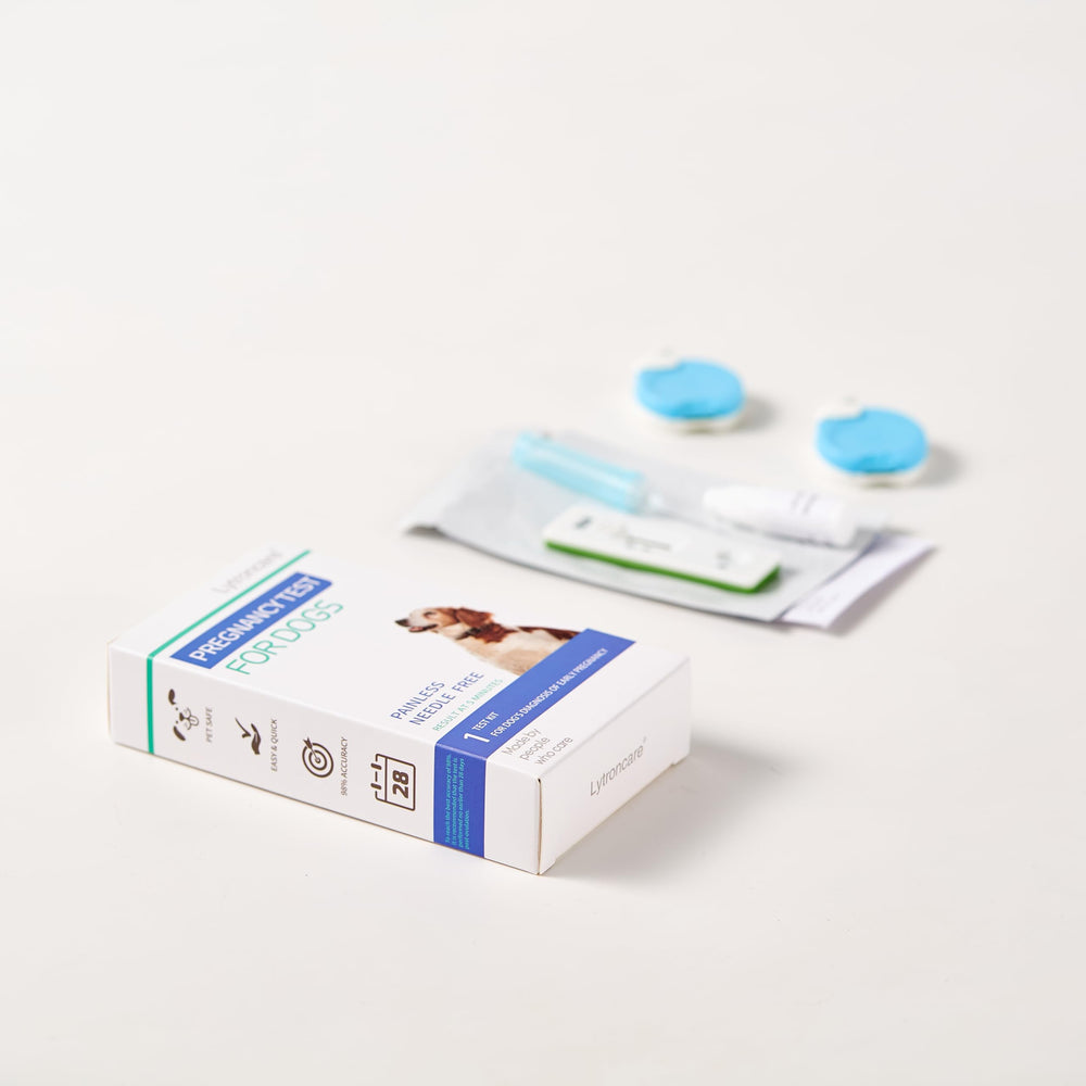 Gentle, needle-free testing for dogs with lancet