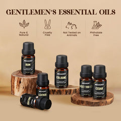 Leather fragrance oil bottle 10ml