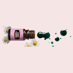 Dropper dispensing German Chamomile 5ml for a tranquil massage blend.