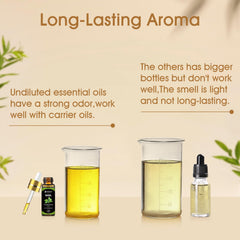 Gift-ready packaging for essential oil set