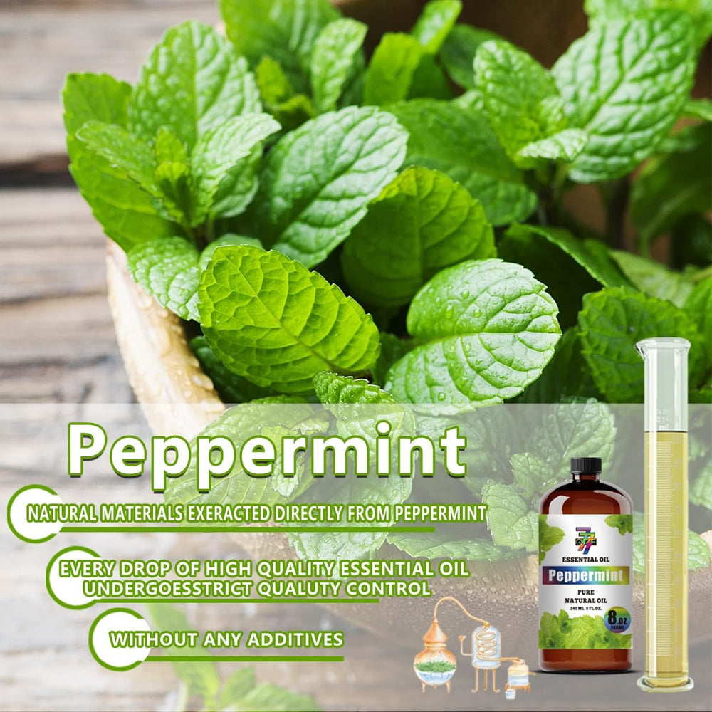 Gift box packaging for Peppermint Essential Oil