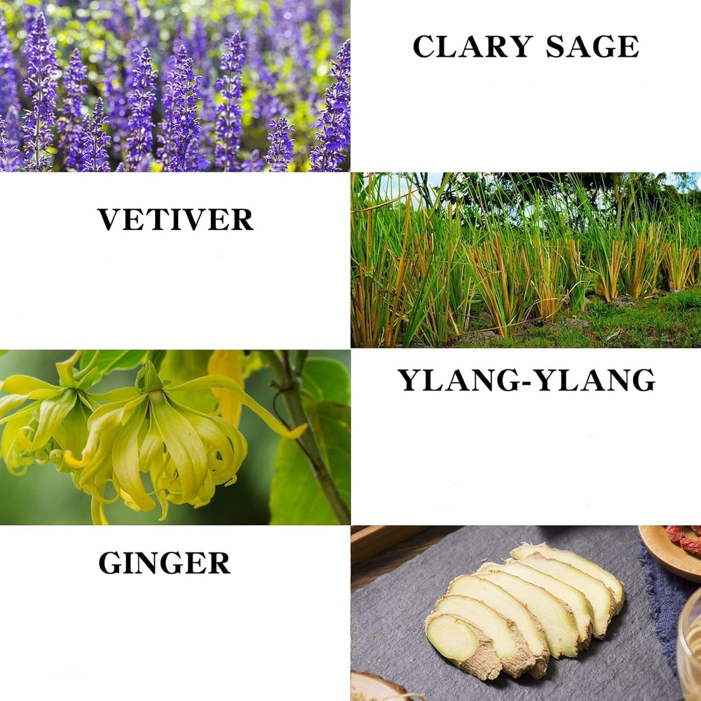 Ingredients highlight: Ginger, Clary Sage, Vetiver, Ylang-Ylang