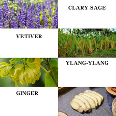 Ingredients highlight: Ginger, Clary Sage, Vetiver, Ylang-Ylang