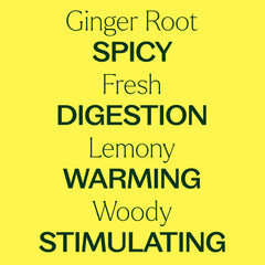 Ginger oil bottle shown for diffuser use