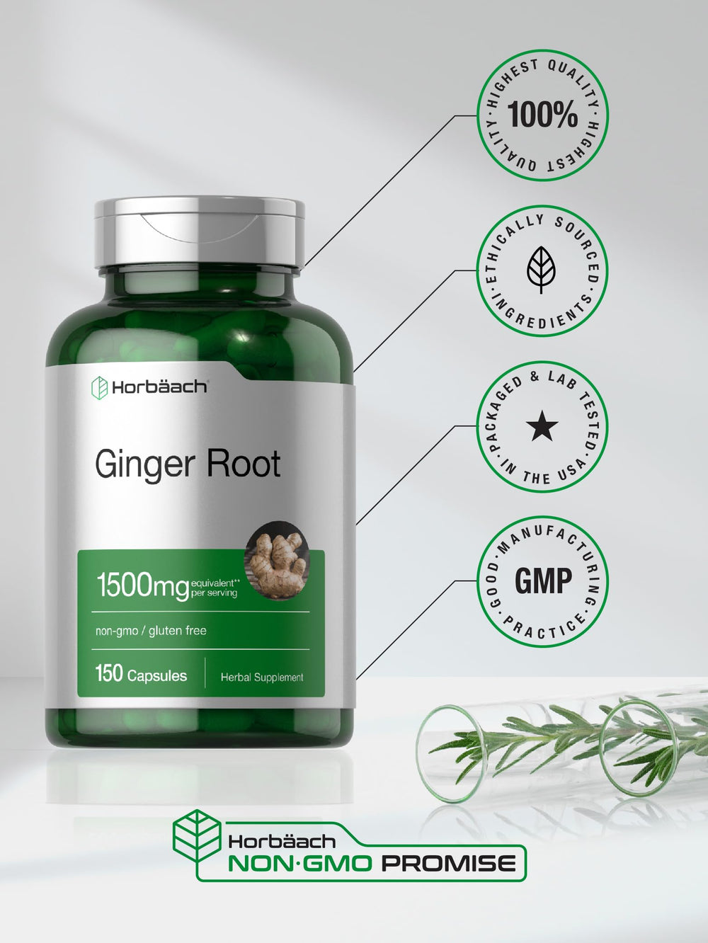 Packaging of Horbaach Ginger Root Capsules with ingredients