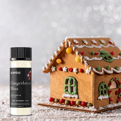 Gingerbread Bliss diffuser oil 20ml bottle