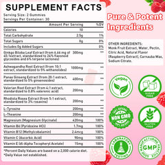 Ingredients panel showing Ginkgo Biloba, Panax Ginseng, Rhodiola, Magnesium, L-Tyrosine, L-Theanine