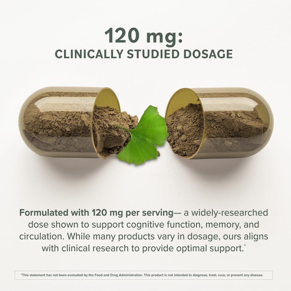 Ginkgo Biloba leaf extract standardized image
