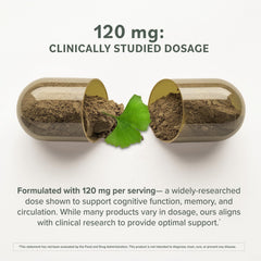 Ginkgo Biloba leaf extract standardized image