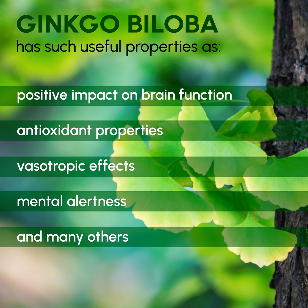 Ginkgo Biloba Powder packaging and label