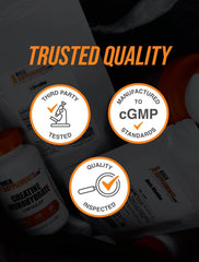 Measuring scoop with Ginkgo Biloba powder
