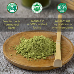 Powder stirred into a smoothie featuring Ginkgo Biloba