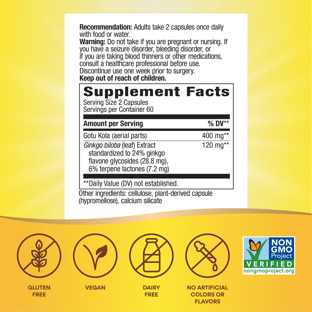 Close-up of ginkgo leaves and extract graphic