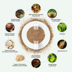 Supplement facts panel highlighting potency and standardized ingredients