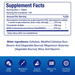 Professional formula icon for glucosamine MSM chondroitin joint support