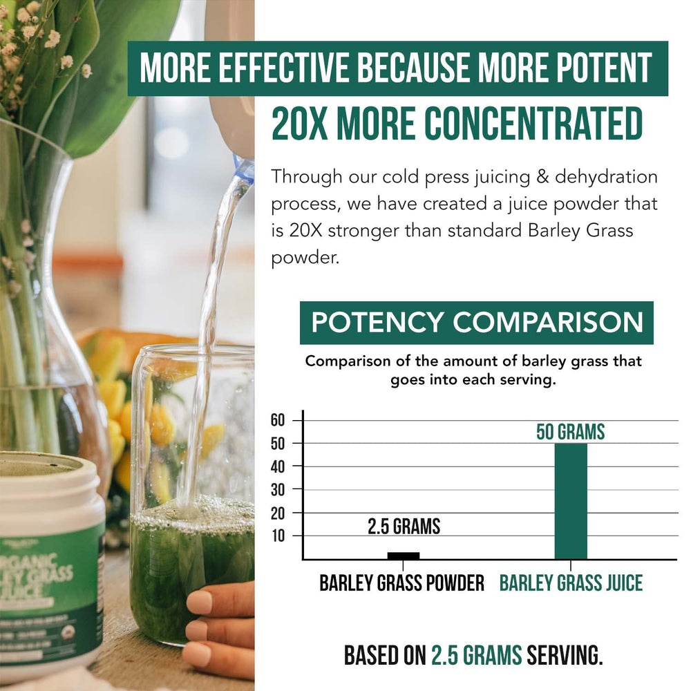 Gluten-free and GMO-free barley grass powder 5.3 oz