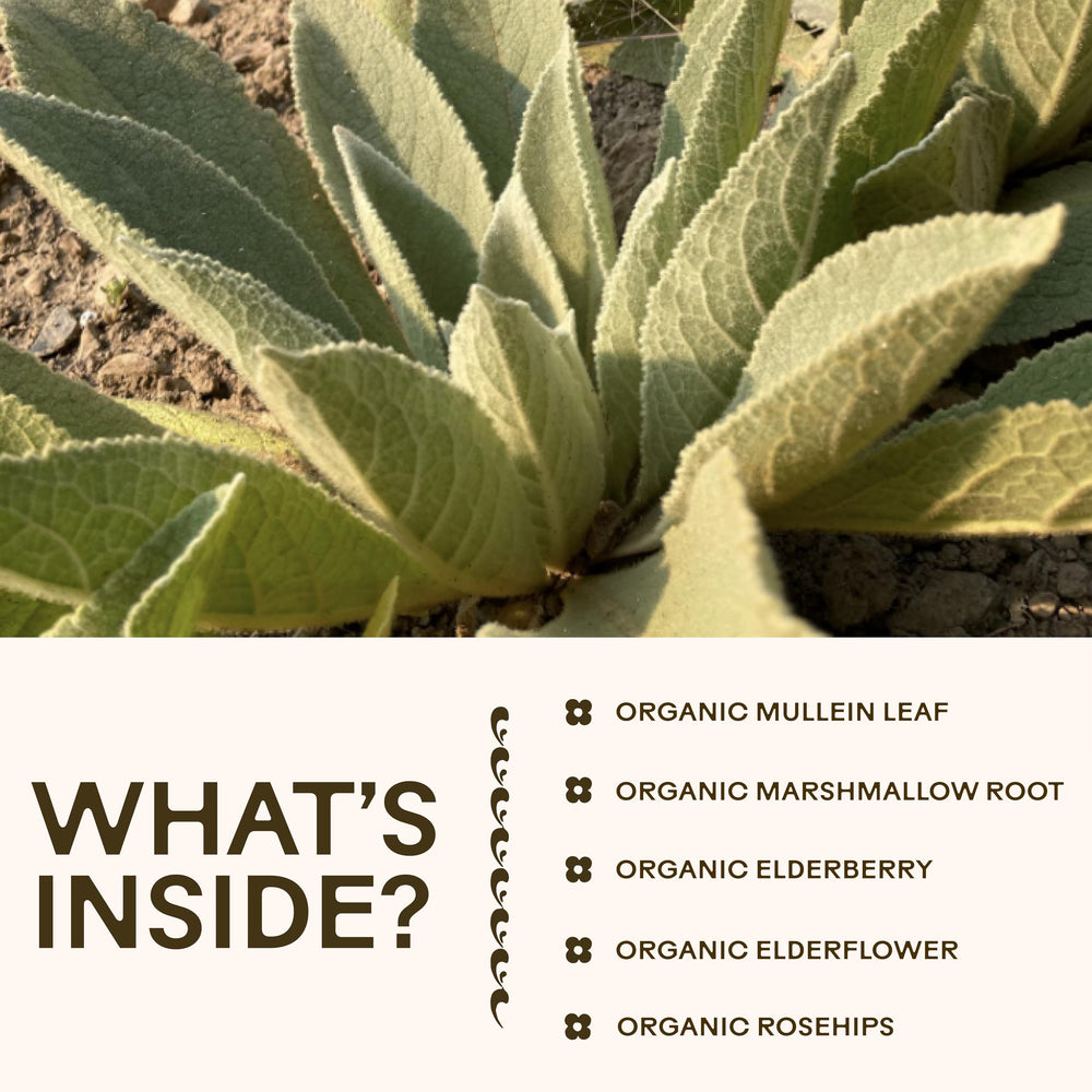 Gluten-free, non-GMO, vegan certification icons on the packaging