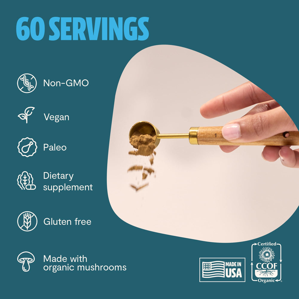 Gluten-free and vegan turkey tail supplement