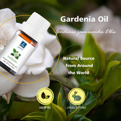 GM Gumili Gardenia essential oil packaging image