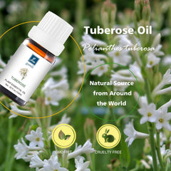 Packaging display for GM Gumili Tuberose Essential Oil