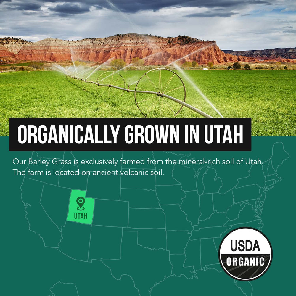 Vegan GMO-free barley grass powder
