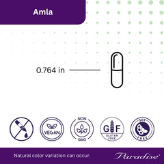 GMP-Certified and FDA Registered badges for Paradise Herbs