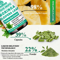 GMP-certified labs used for Moringa formulation testing