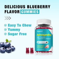 GMP-certified manufacturing facility for Ashwagandha gummies