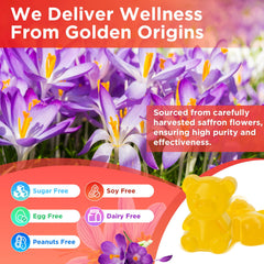 GMP-certified saffron extract product