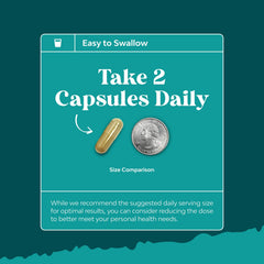 GMP American lab manufactured liver supplement