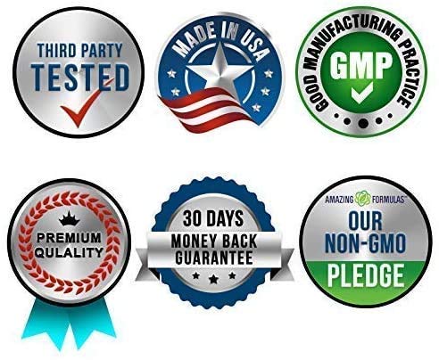 GMP manufacturing standards symbol