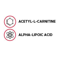 Close-up of GNC acetyl-L-carnitine and alpha-lipoic acid capsules
