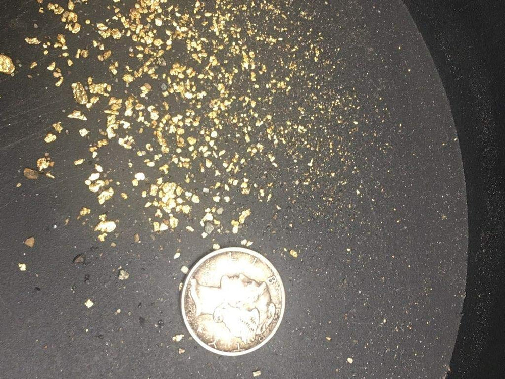 Assay lab testing paydirt gold content