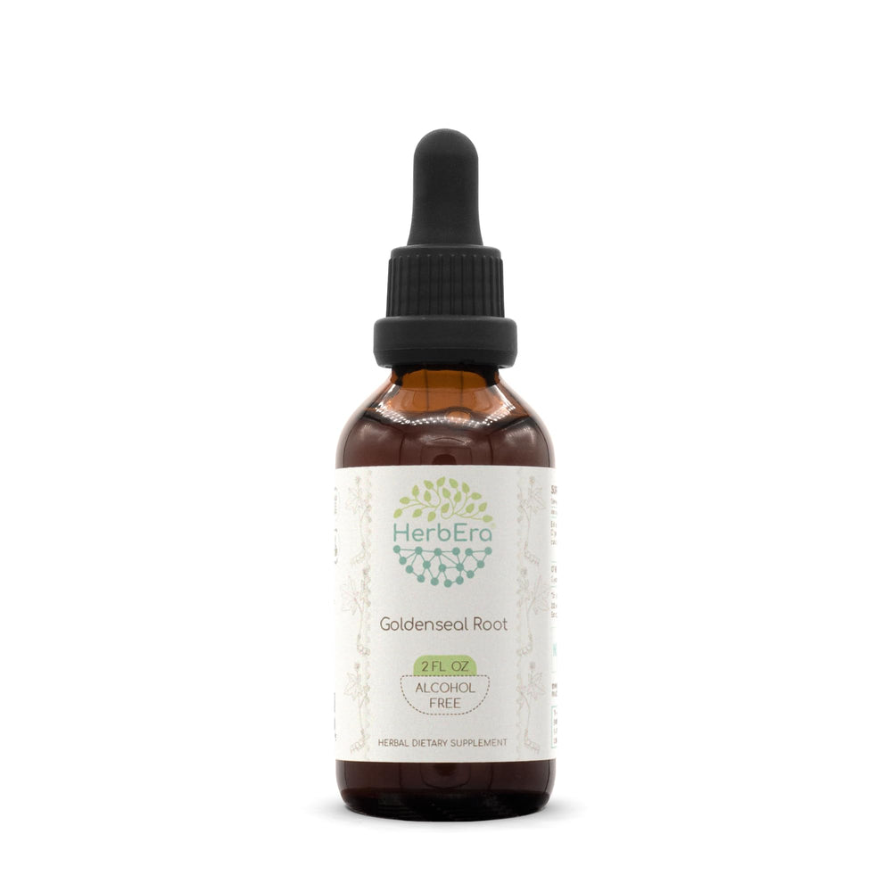 HerbEra Goldenseal Root B60 Alcohol-Free Tincture bottle – front view