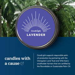 Eco-friendly candle made from sustainable palm wax
