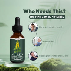 Dose and usage instructions for GOOVIP ETHALE Mullein Drops