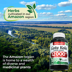 Packaging highlighting organic Gotu Kola leaf (Centella Asiatica) ingredients