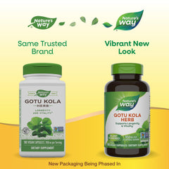 Non-GMO Project Verified seal on Gotu Kola bottle