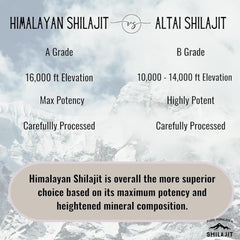 Grade A purity shilajit soft resin serving with minerals