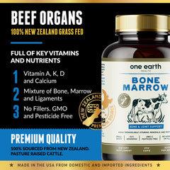 Pasture-raised cattle in New Zealand pasture